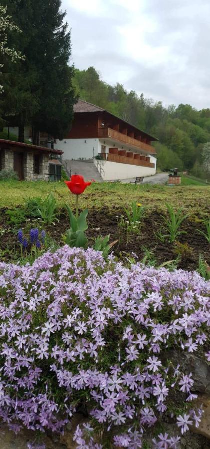 B&B Zlatna Nit บอซันสกาครูปา ภายนอก รูปภาพ