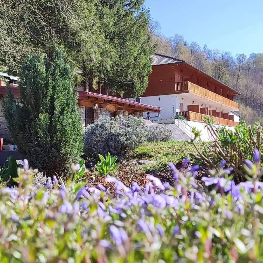 B&B Zlatna Nit บอซันสกาครูปา ภายนอก รูปภาพ